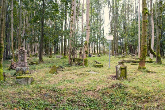Obnova hřbitova v Čermné