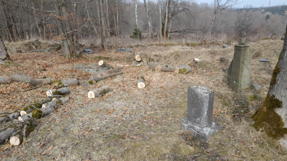 První jarní brigáda na Nové Vsi a Čermné