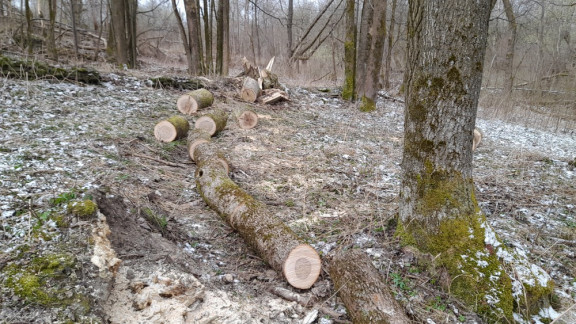 Brigáda v Olejovicích a na Nové Vsi