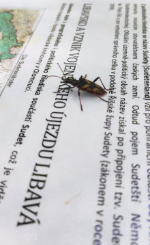 Ohlédnutí za Bílým kamenem 2024