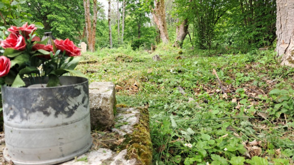 Výměna infocedulky a jarní údržba na Milovanech