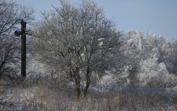 Myšlenka obnovy kříže v Jestřabí